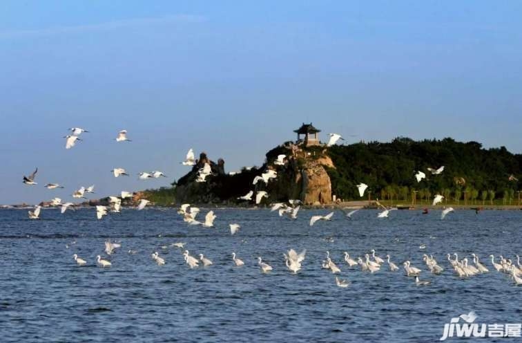  热那亚灯塔之城德比激战，海风拂面见证激情对决